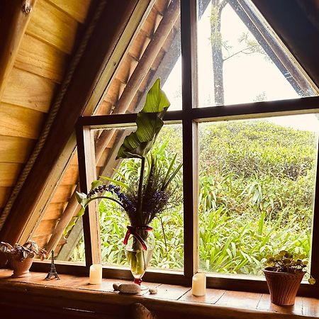 Villa 47 Nuwaraeliya Nuwara Eliya Dış mekan fotoğraf