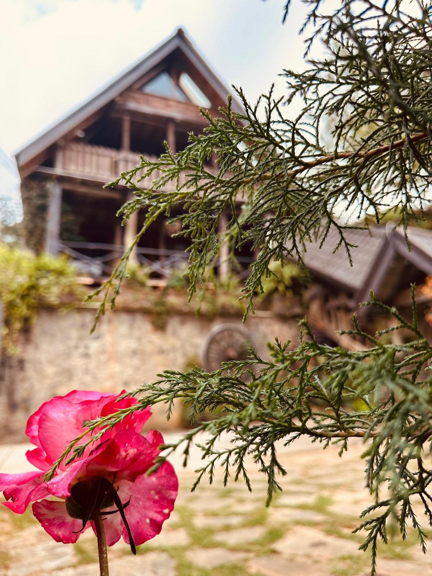 Villa 47 Nuwaraeliya Nuwara Eliya Dış mekan fotoğraf