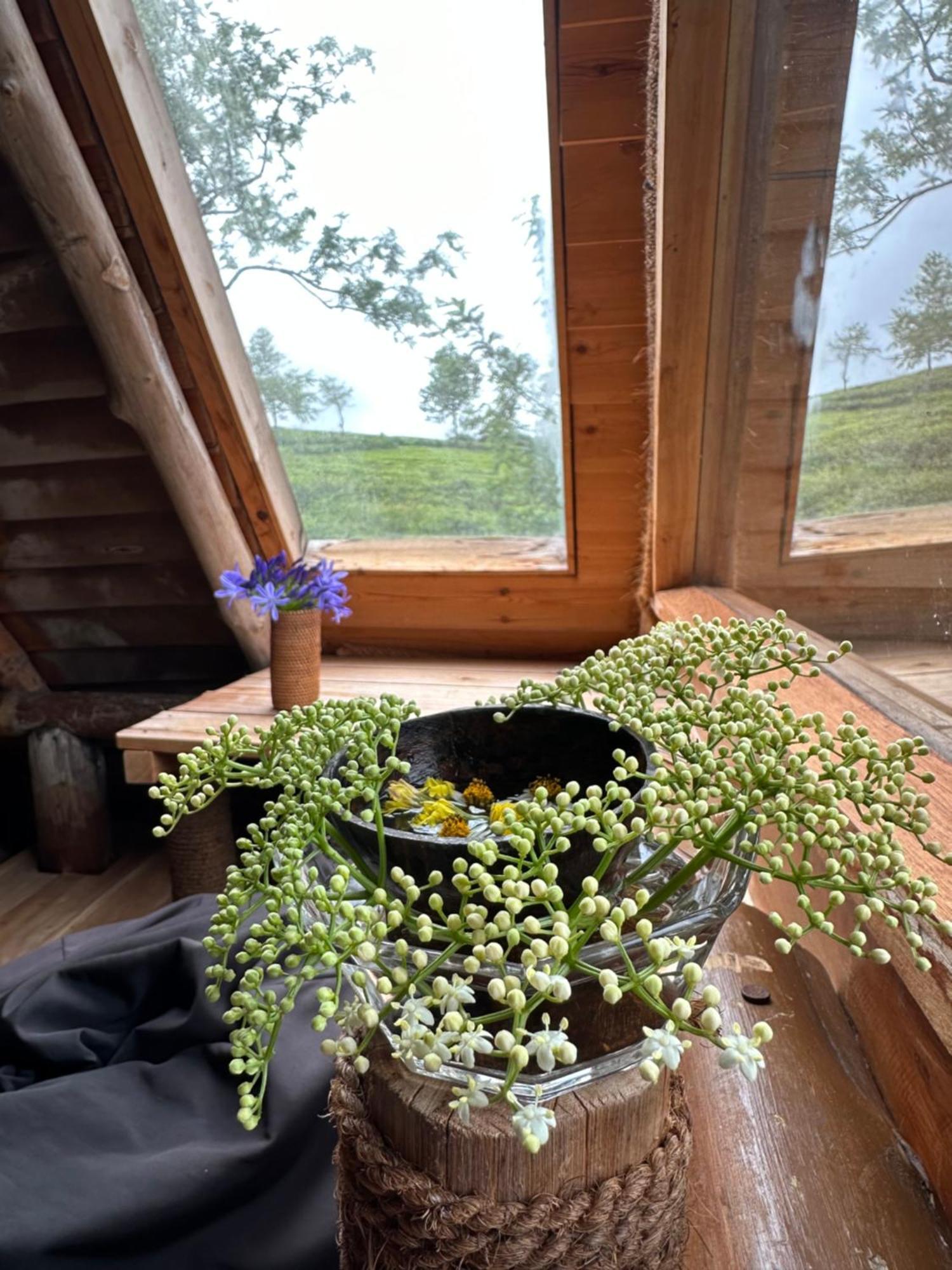 Villa 47 Nuwaraeliya Nuwara Eliya Dış mekan fotoğraf