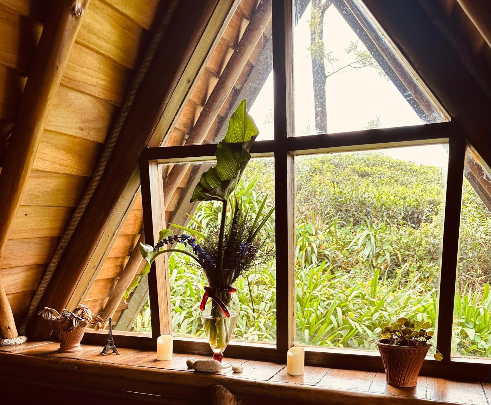 Villa 47 Nuwaraeliya Nuwara Eliya Dış mekan fotoğraf