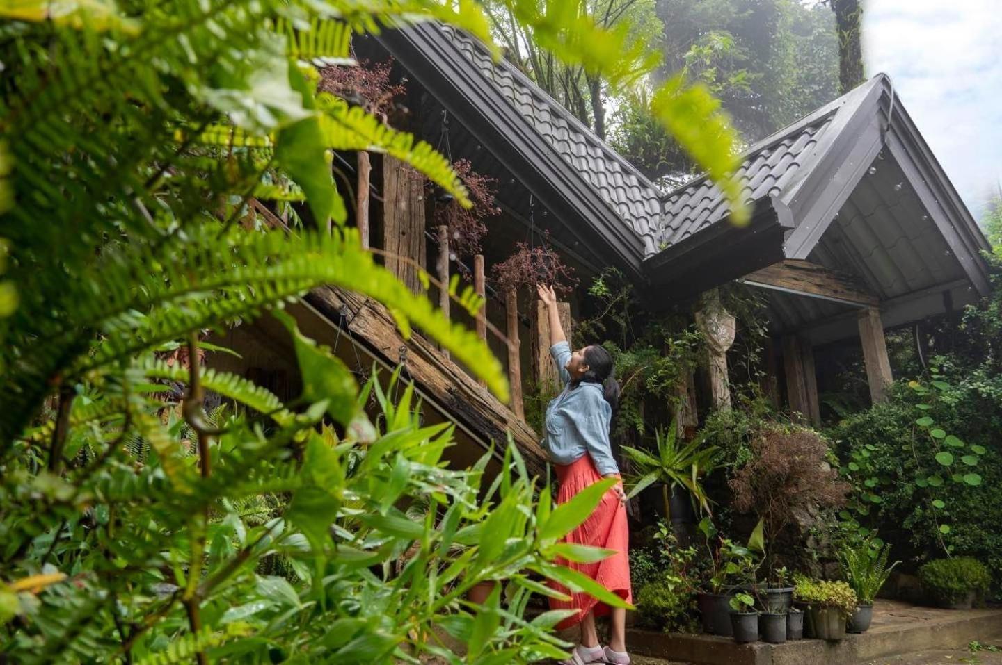 Villa 47 Nuwaraeliya Nuwara Eliya Dış mekan fotoğraf