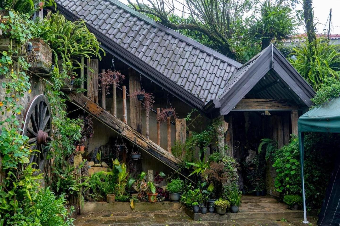 Villa 47 Nuwaraeliya Nuwara Eliya Dış mekan fotoğraf